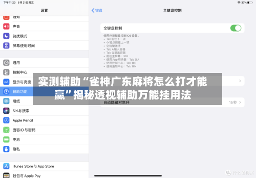 实测辅助“雀神广东麻将怎么打才能赢”揭秘透视辅助万能挂用法-第1张图片