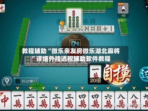 教程辅助“微乐亲友房微乐湖北麻将”详细外挂透视辅助软件教程-第3张图片