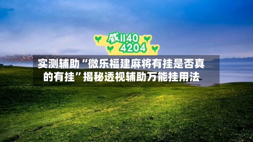 实测辅助“微乐福建麻将有挂是否真的有挂”揭秘透视辅助万能挂用法-第1张图片