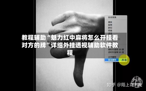 教程辅助“魅力红中麻将怎么开挂看对方的牌”详细外挂透视辅助软件教程-第2张图片