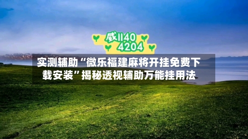 实测辅助“微乐福建麻将开挂免费下载安装”揭秘透视辅助万能挂用法-第2张图片