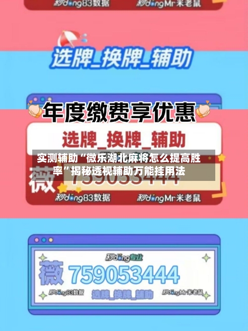 实测辅助“微乐湖北麻将怎么提高胜率”揭秘透视辅助万能挂用法-第1张图片