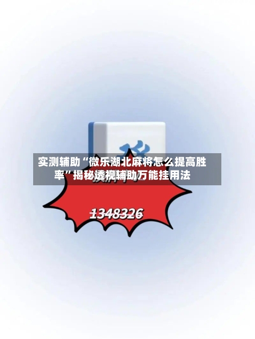 实测辅助“微乐湖北麻将怎么提高胜率”揭秘透视辅助万能挂用法-第3张图片