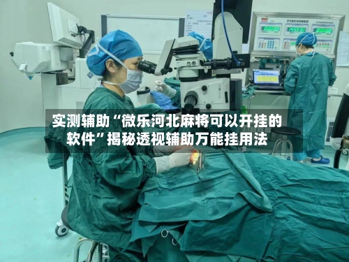 实测辅助“微乐河北麻将可以开挂的软件”揭秘透视辅助万能挂用法-第2张图片