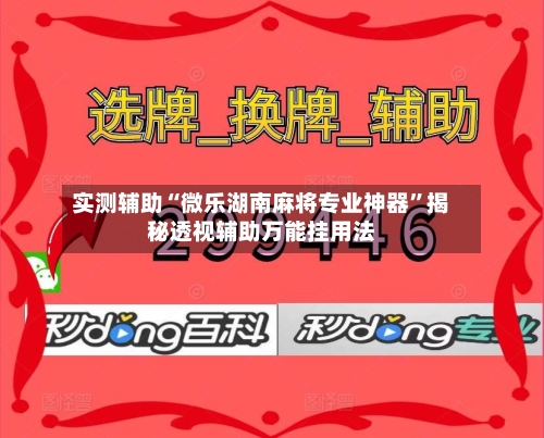 实测辅助“微乐湖南麻将专业神器”揭秘透视辅助万能挂用法-第2张图片