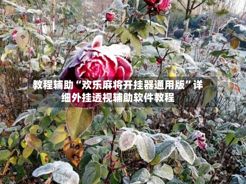教程辅助“欢乐麻将开挂器通用版”详细外挂透视辅助软件教程-第1张图片