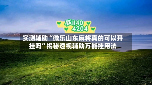 实测辅助“微乐山东麻将真的可以开挂吗”揭秘透视辅助万能挂用法-第1张图片
