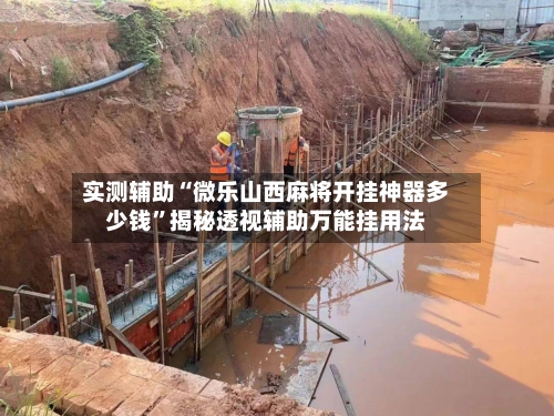 实测辅助“微乐山西麻将开挂神器多少钱	”揭秘透视辅助万能挂用法-第1张图片