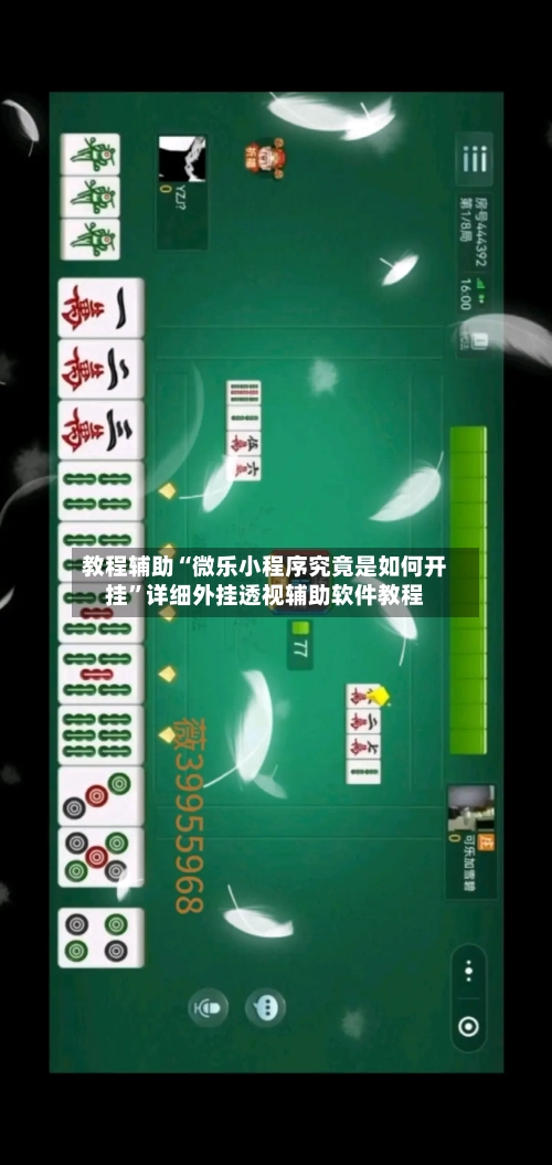 教程辅助“微乐小程序究竟是如何开挂	”详细外挂透视辅助软件教程-第3张图片