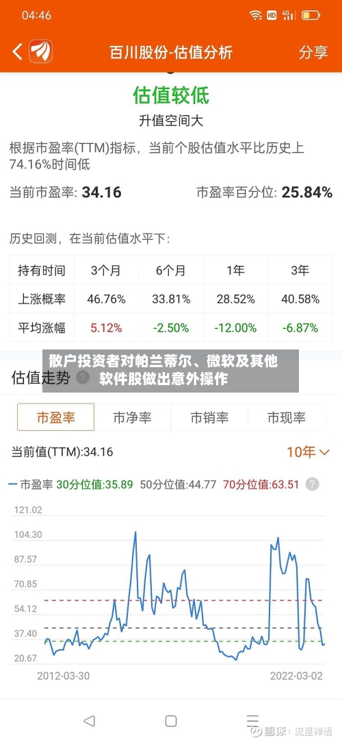 散户投资者对帕兰蒂尔、微软及其他软件股做出意外操作-第2张图片
