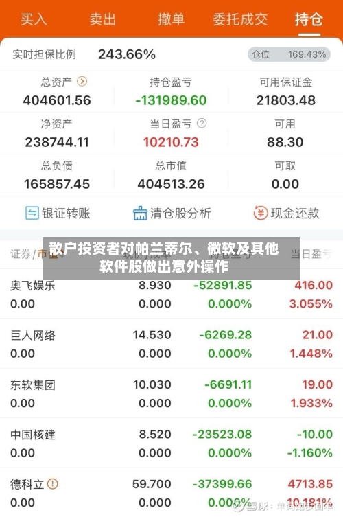 散户投资者对帕兰蒂尔、微软及其他软件股做出意外操作-第3张图片