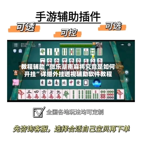 教程辅助“微乐湖南麻将究竟是如何开挂”详细外挂透视辅助软件教程-第2张图片