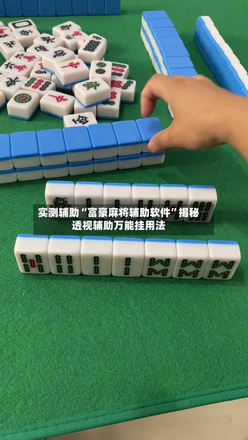 实测辅助“富豪麻将辅助软件”揭秘透视辅助万能挂用法-第2张图片
