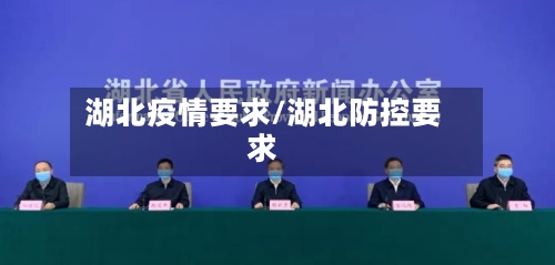 湖北疫情要求/湖北防控要求-第2张图片