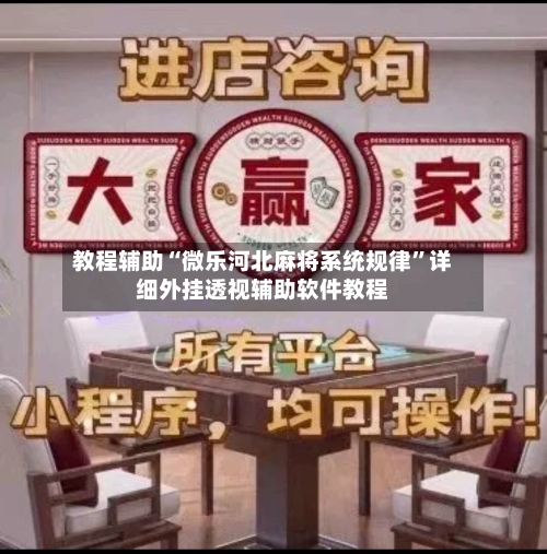 教程辅助“微乐河北麻将系统规律”详细外挂透视辅助软件教程-第2张图片