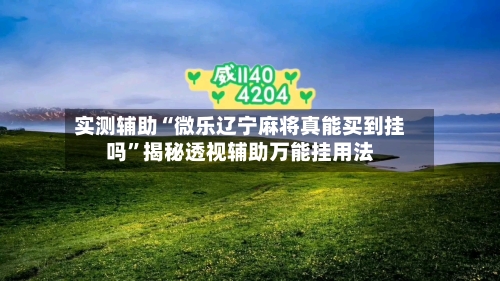 实测辅助“微乐辽宁麻将真能买到挂吗”揭秘透视辅助万能挂用法-第2张图片