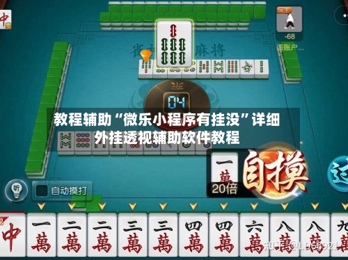 教程辅助“微乐小程序有挂没”详细外挂透视辅助软件教程-第1张图片