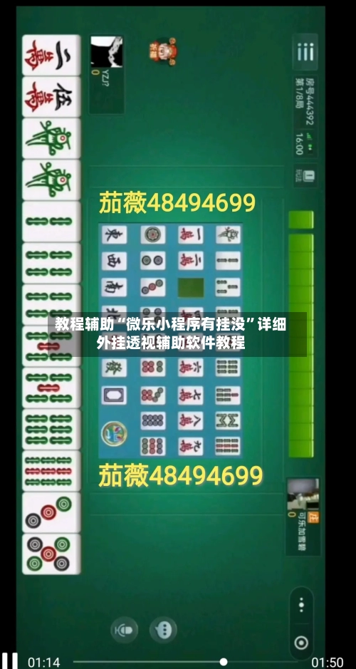 教程辅助“微乐小程序有挂没”详细外挂透视辅助软件教程-第2张图片