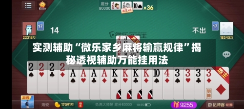 实测辅助“微乐家乡麻将输赢规律	”揭秘透视辅助万能挂用法-第2张图片