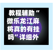 教程辅助“微乐龙江麻将真的有挂吗	”详细外挂透视辅助软件教程-第3张图片