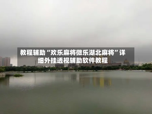 教程辅助“欢乐麻将微乐湖北麻将”详细外挂透视辅助软件教程-第2张图片