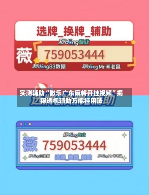 实测辅助“微乐广东麻将开挂视频”揭秘透视辅助万能挂用法-第1张图片