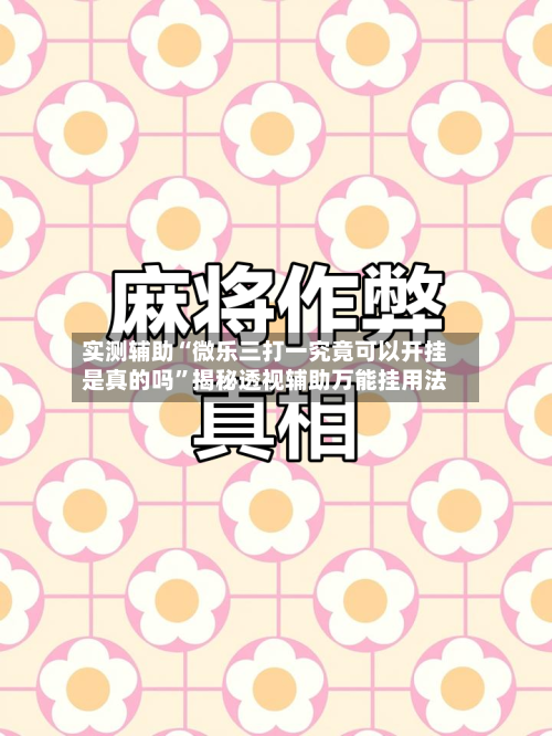 实测辅助“微乐三打一究竟可以开挂是真的吗	”揭秘透视辅助万能挂用法-第1张图片