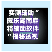 实测辅助“微乐湖南麻将辅助软件”揭秘透视辅助万能挂用法-第3张图片