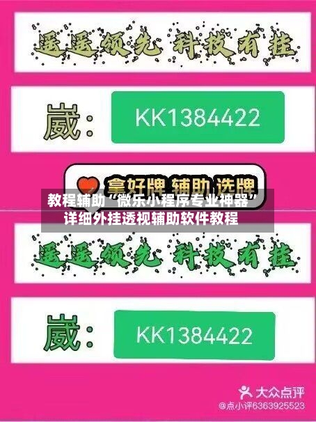 教程辅助“微乐小程序专业神器	”详细外挂透视辅助软件教程-第1张图片