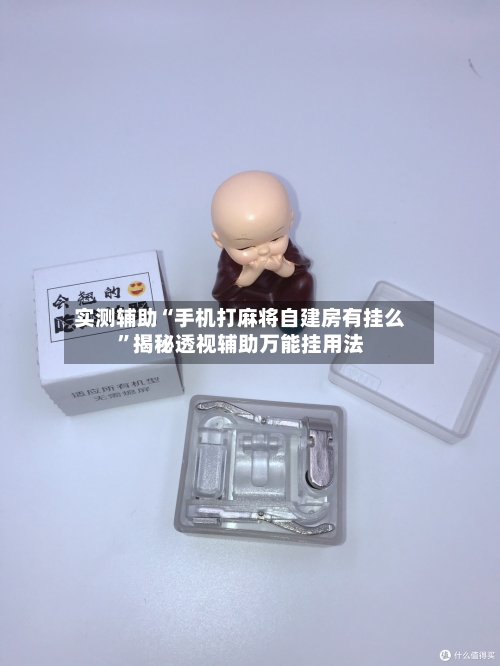 实测辅助“手机打麻将自建房有挂么”揭秘透视辅助万能挂用法-第1张图片