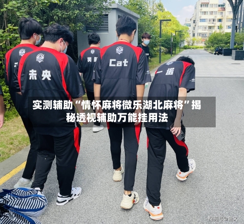 实测辅助“情怀麻将微乐湖北麻将”揭秘透视辅助万能挂用法-第3张图片