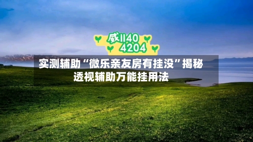实测辅助“微乐亲友房有挂没”揭秘透视辅助万能挂用法-第1张图片