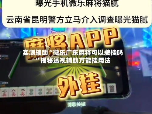 实测辅助“微乐广东麻将可以装挂吗”揭秘透视辅助万能挂用法-第3张图片