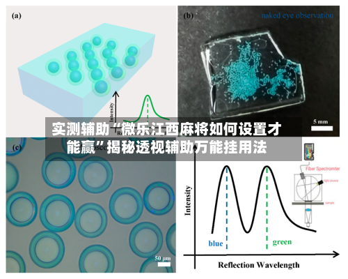 实测辅助“微乐江西麻将如何设置才能赢”揭秘透视辅助万能挂用法-第1张图片