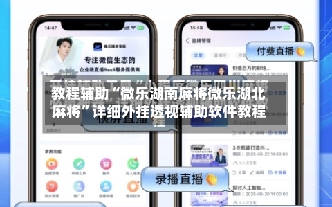 教程辅助“微乐湖南麻将微乐湖北麻将”详细外挂透视辅助软件教程-第3张图片
