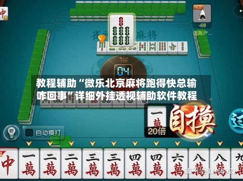 教程辅助“微乐北京麻将跑得快总输咋回事”详细外挂透视辅助软件教程-第3张图片