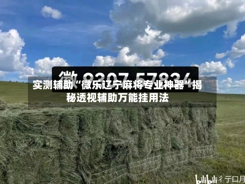 实测辅助“微乐辽宁麻将专业神器	”揭秘透视辅助万能挂用法-第2张图片