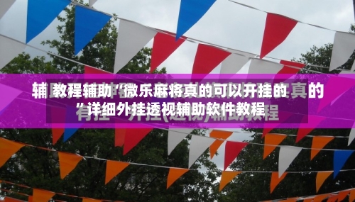 教程辅助“微乐麻将真的可以开挂的”详细外挂透视辅助软件教程-第3张图片