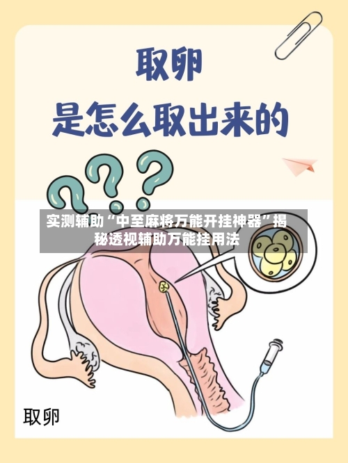 实测辅助“中至麻将万能开挂神器”揭秘透视辅助万能挂用法-第1张图片