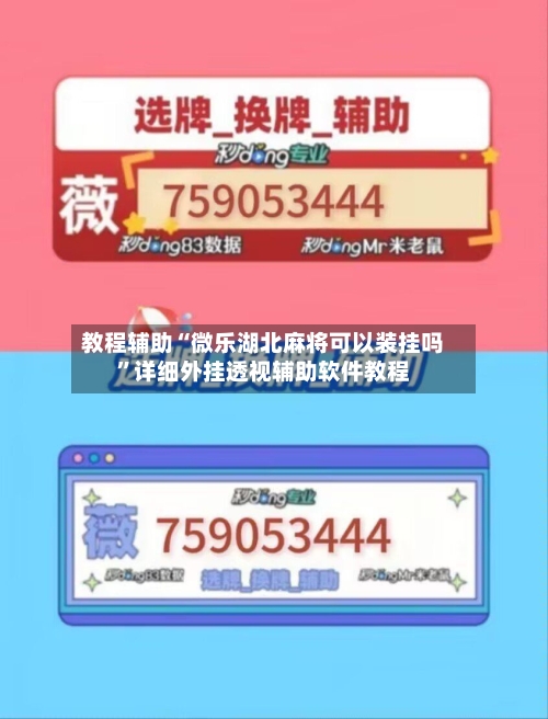 教程辅助“微乐湖北麻将可以装挂吗	”详细外挂透视辅助软件教程-第2张图片
