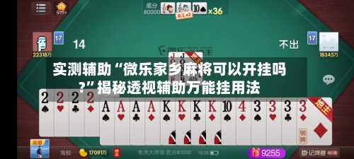 实测辅助“微乐家乡麻将可以开挂吗?”揭秘透视辅助万能挂用法-第2张图片