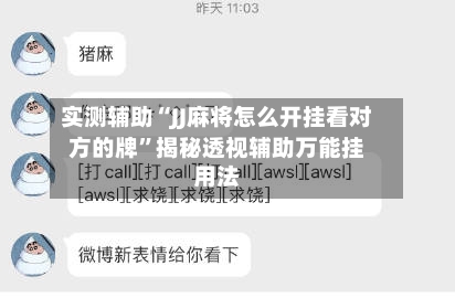 实测辅助“JJ麻将怎么开挂看对方的牌”揭秘透视辅助万能挂用法-第3张图片