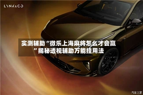 实测辅助“微乐上海麻将怎么才会赢	”揭秘透视辅助万能挂用法-第3张图片