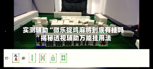 实测辅助“微乐捉鸡麻将到底有挂吗	”揭秘透视辅助万能挂用法-第3张图片