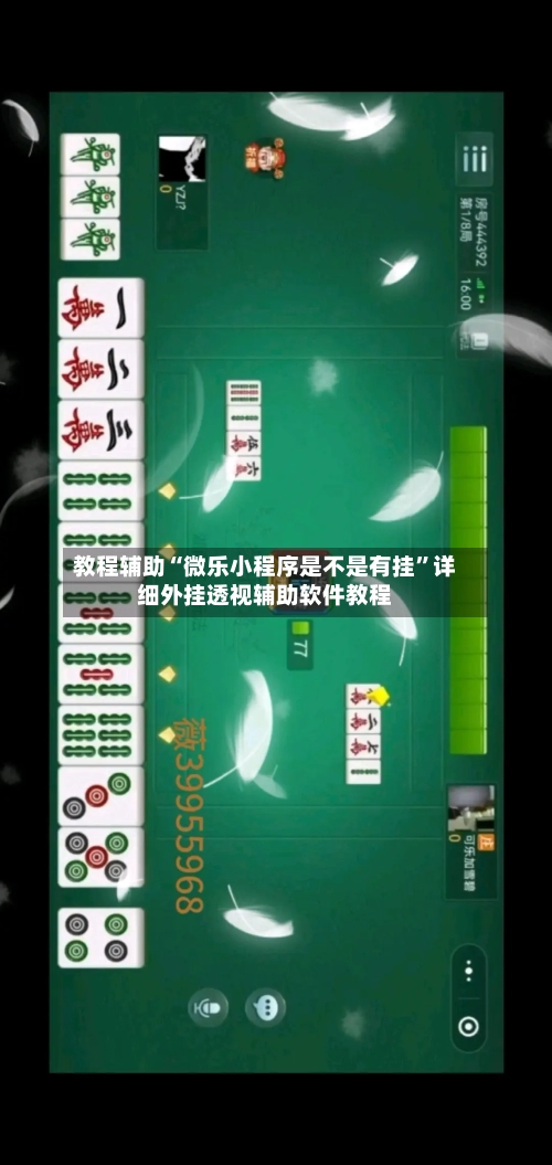 教程辅助“微乐小程序是不是有挂”详细外挂透视辅助软件教程-第2张图片