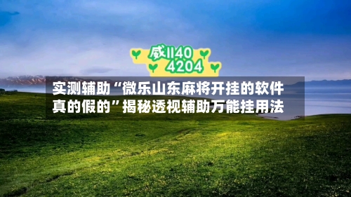 实测辅助“微乐山东麻将开挂的软件真的假的”揭秘透视辅助万能挂用法-第2张图片