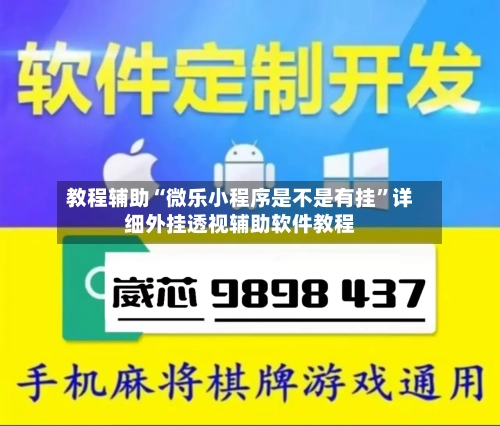 教程辅助“微乐小程序是不是有挂”详细外挂透视辅助软件教程-第3张图片