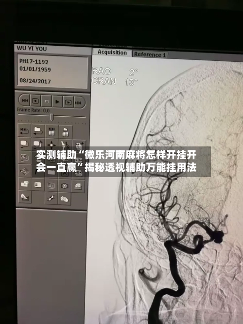 实测辅助“微乐河南麻将怎样开挂开会一直赢”揭秘透视辅助万能挂用法-第1张图片