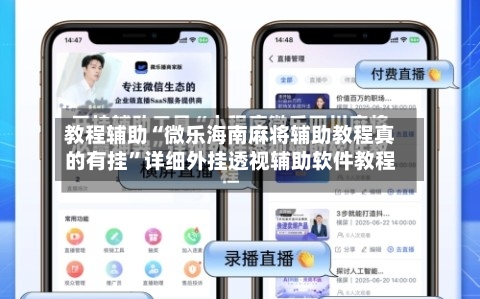教程辅助“微乐海南麻将辅助教程真的有挂”详细外挂透视辅助软件教程-第2张图片