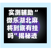 实测辅助“微乐湖北麻将到底有挂吗”揭秘透视辅助万能挂用法-第3张图片